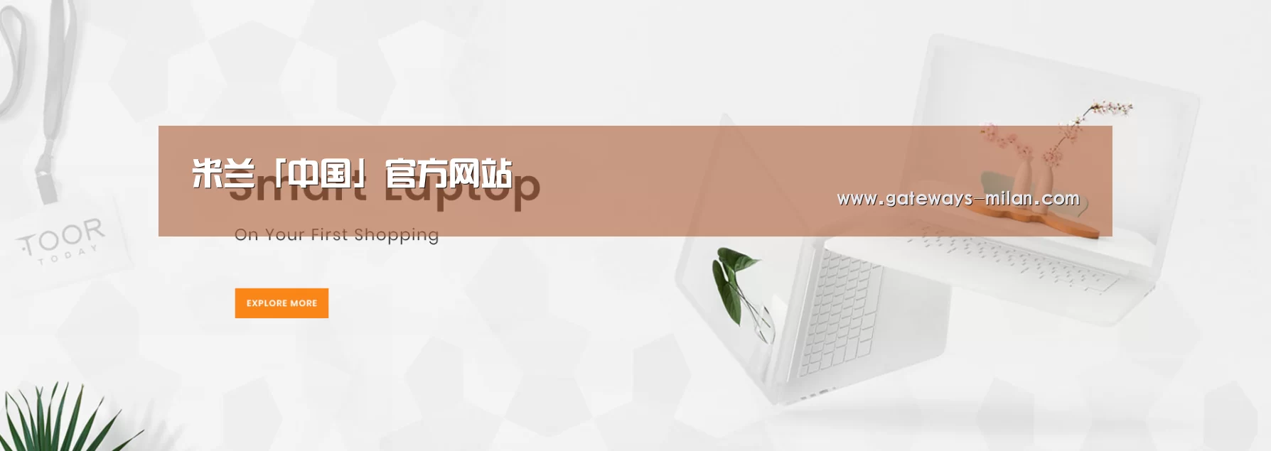 某某网络科技有限公司